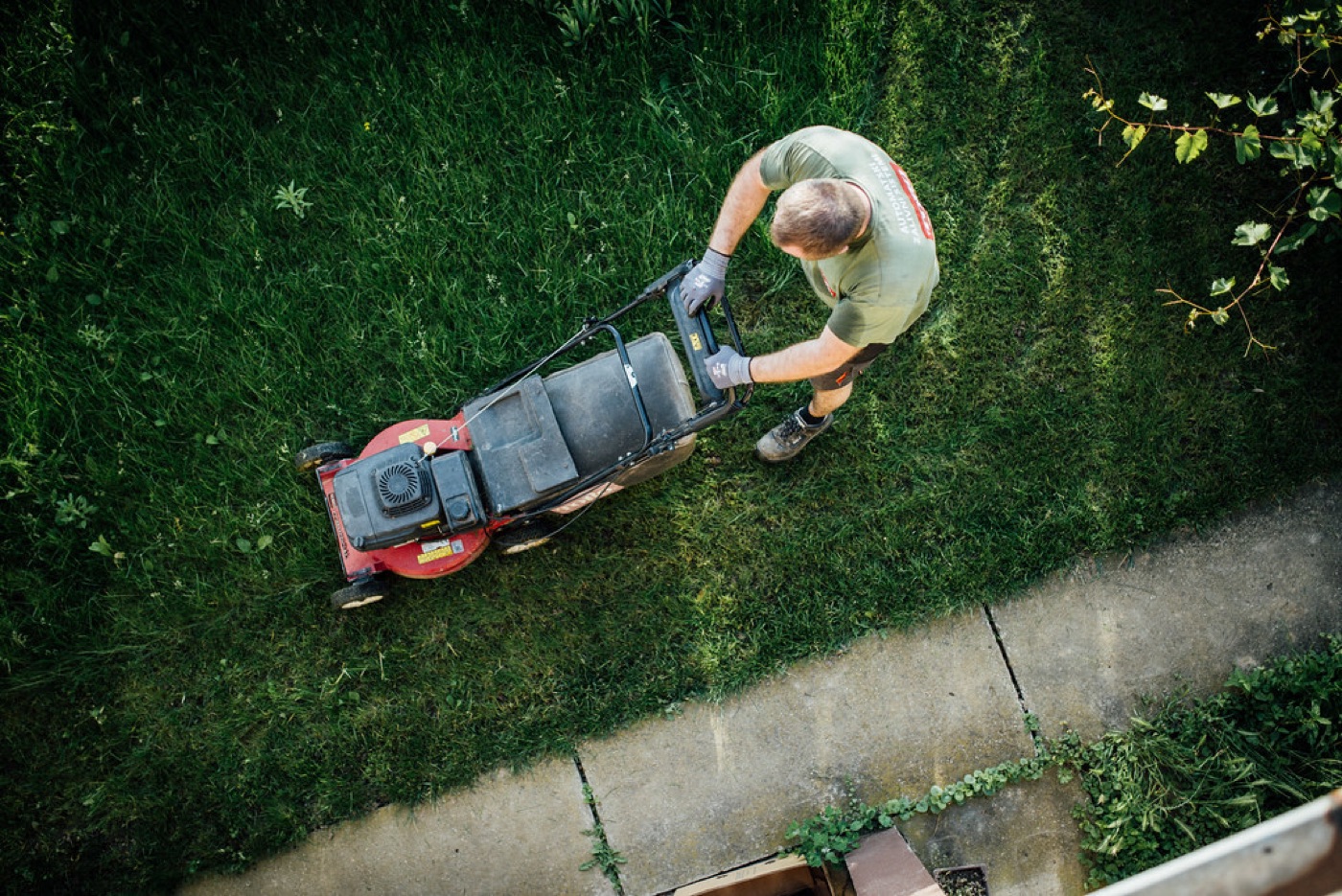 Professional gardener mowing a lawn